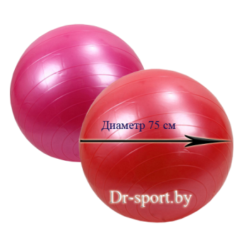 Мяч гимнастический Libera 6003-30